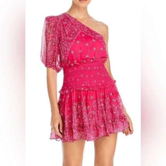 Rococo Sand Dresses & Skirts - Rococo Sand One Shoulder Pink Paisley Smocked Mini Dress Size S